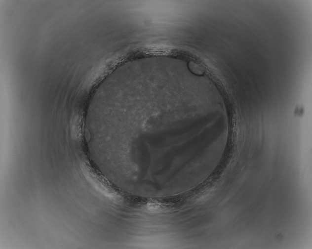X0000111020641200906191653