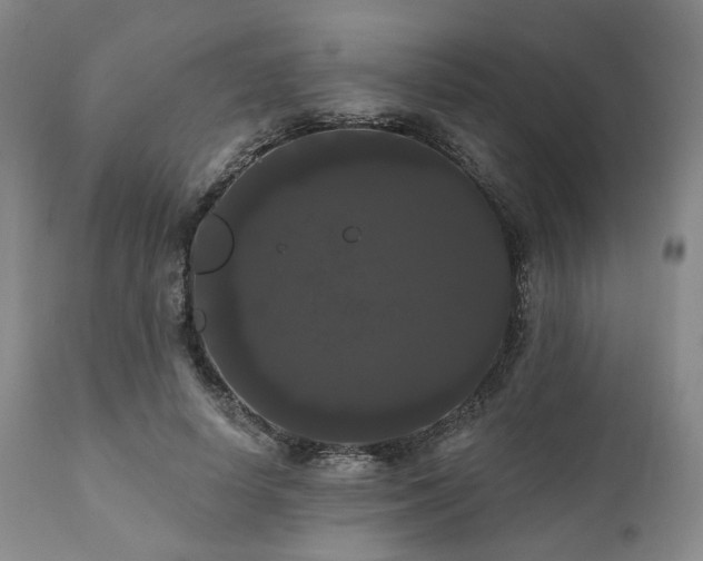 X0000111020642200906191653