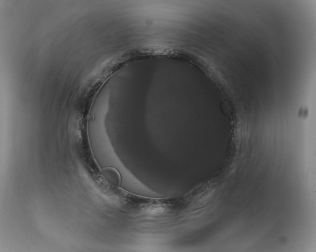 X0000111020643200906191653