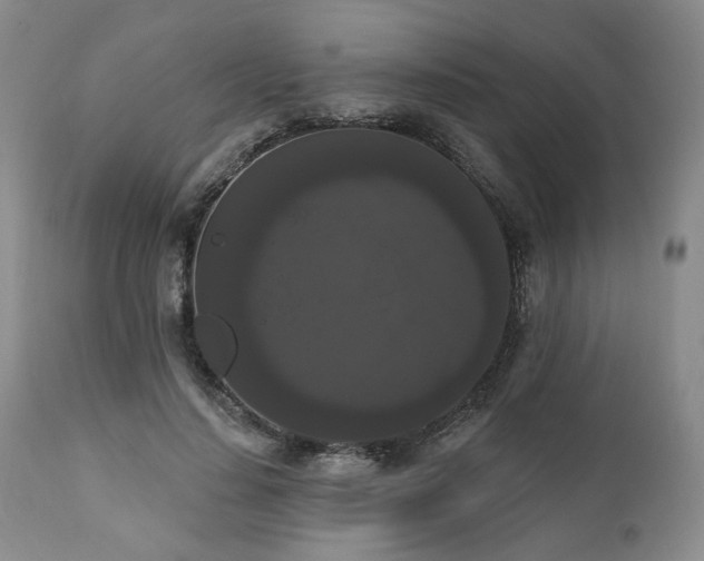 X0000111020644200906191653