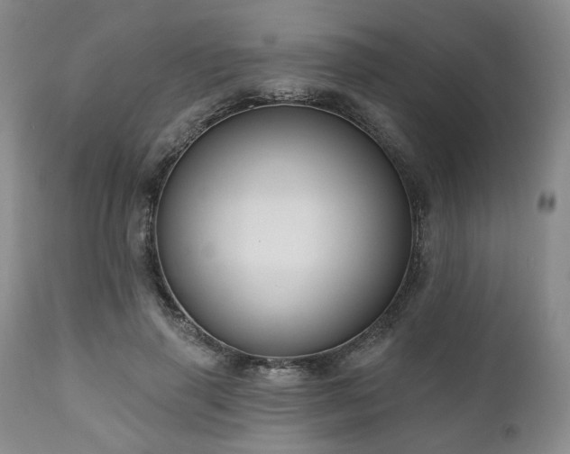 X0000111020645200906191653