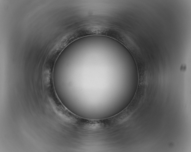 X0000111020646200906191653