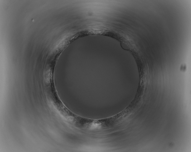 X0000111020647200906191653