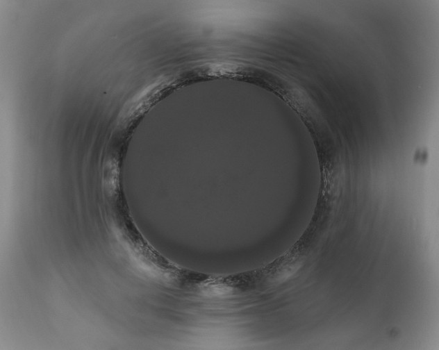 X0000111020648200906191653