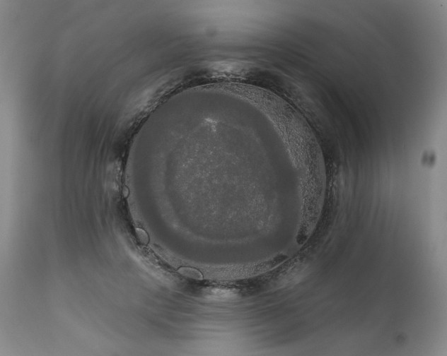 X0000111020649200906191653