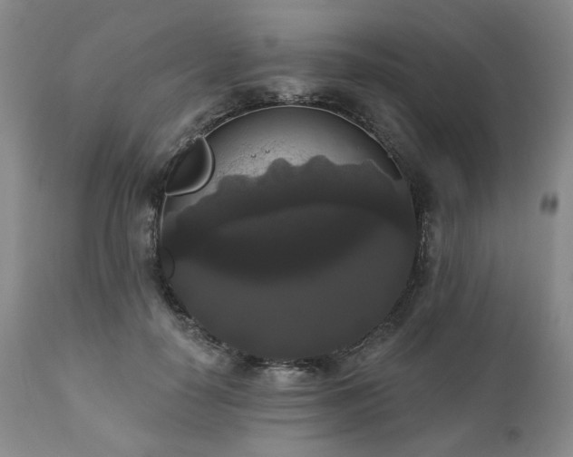 X0000111020650200906191653
