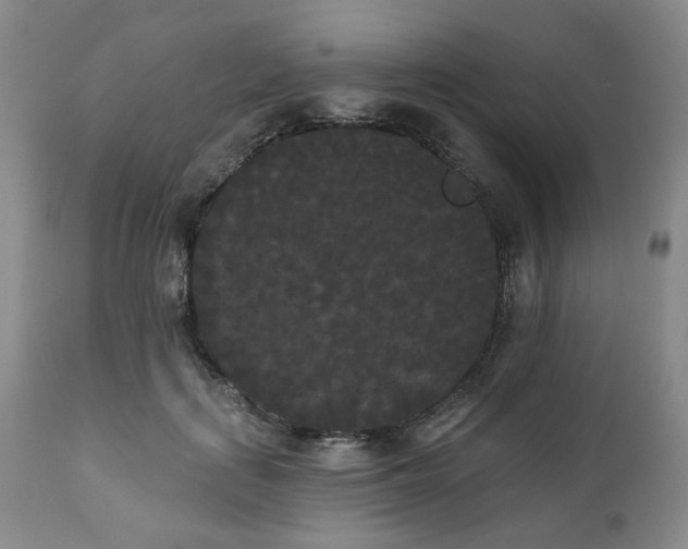 X0000111020651200906191653