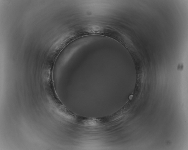 X0000111020652200906191653