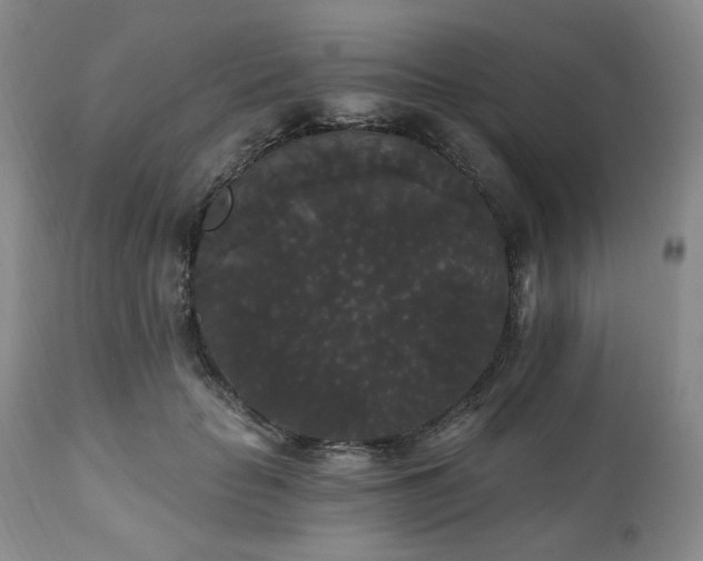 X0000111020653200906191653