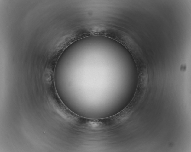 X0000111020654200906191653