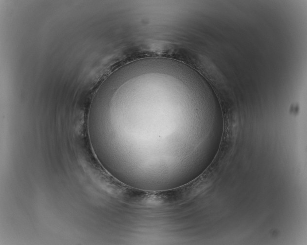 X0000111020656200906191653