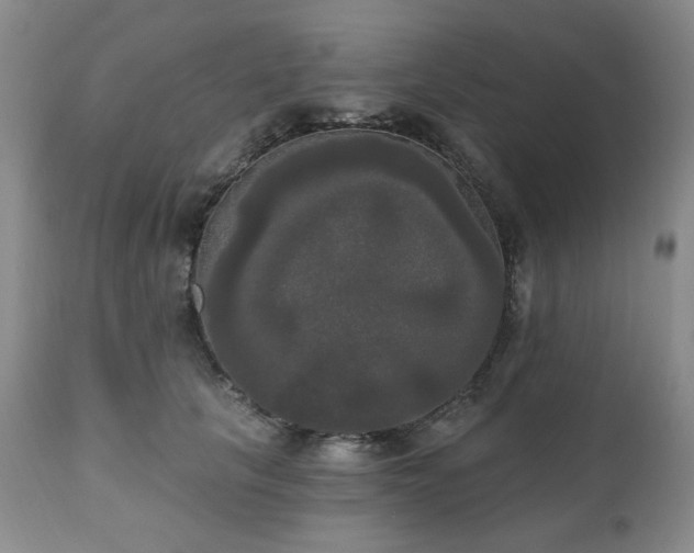 X0000111020657200906191653