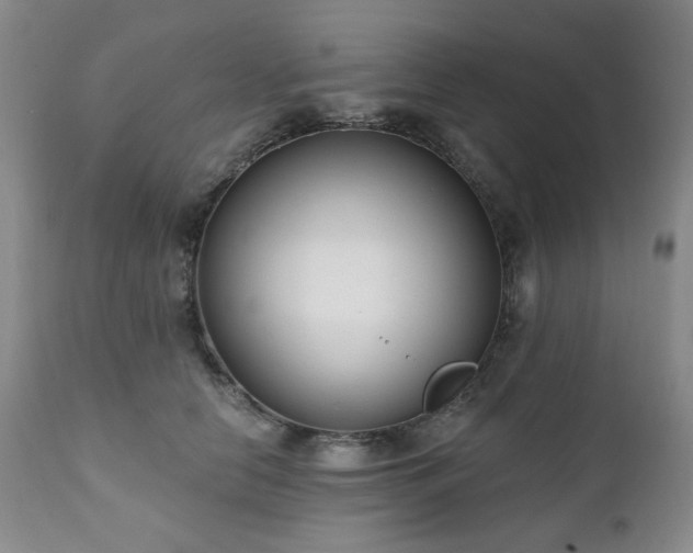 X0000111020658200906191653