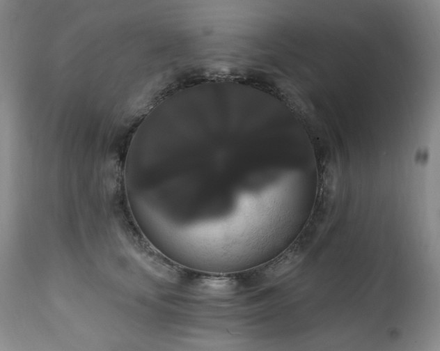 X0000111020659200906191653
