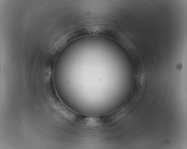 X0000111020660200906191653