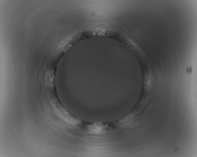 X0000111020661200906191653