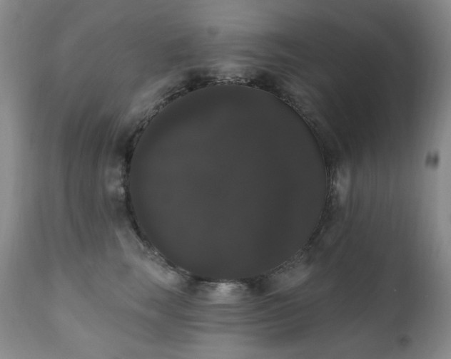 X0000111020663200906191653