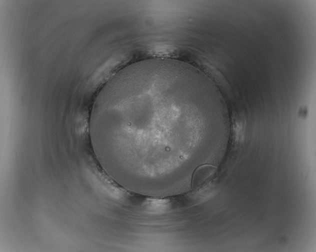 X0000111020665200906191653