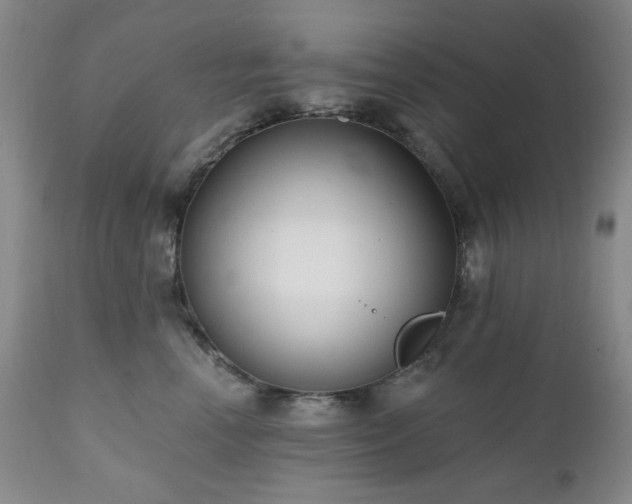 X0000111020666200906191653