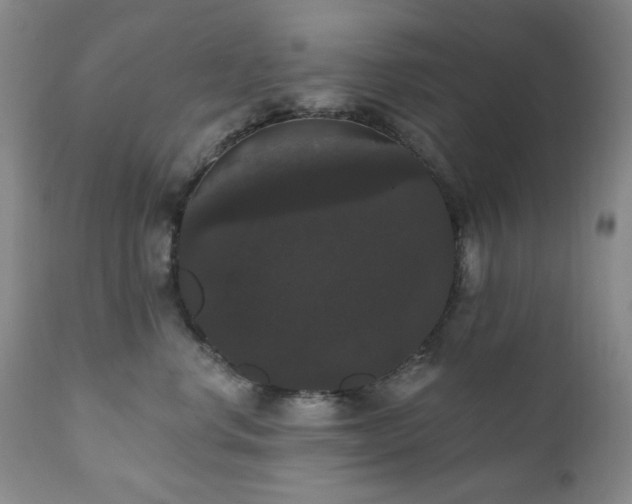 X0000111020668200906191653