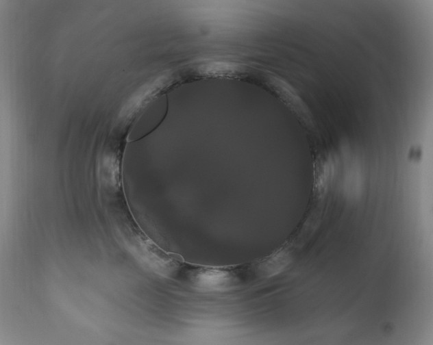 X0000111020669200906191653