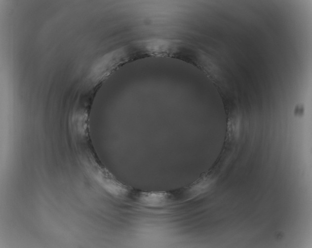 X0000111020671200906191653