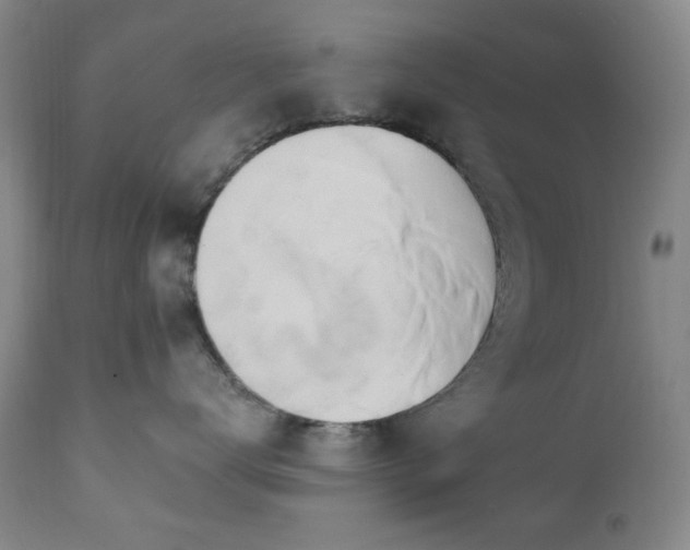 X0000111020672200906191653
