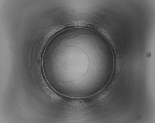 X0000111020673200906191653