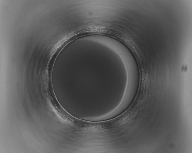 X0000111020674200906191653