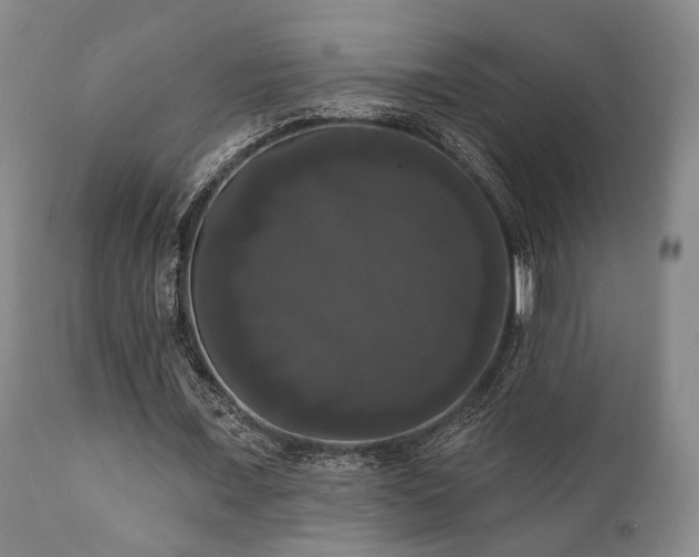 X0000111020675200906191653