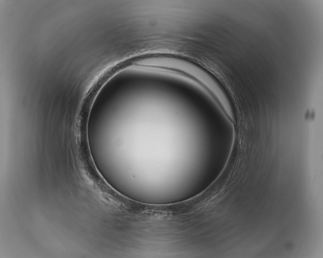 X0000111020676200906191653