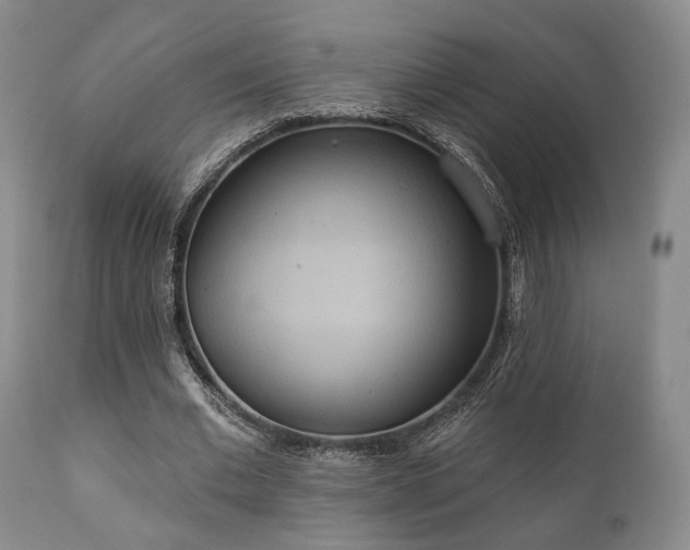 X0000111020677200906191653