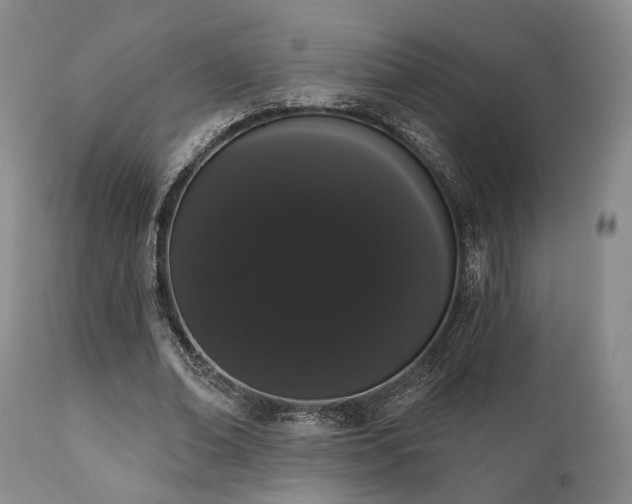 X0000111020678200906191652