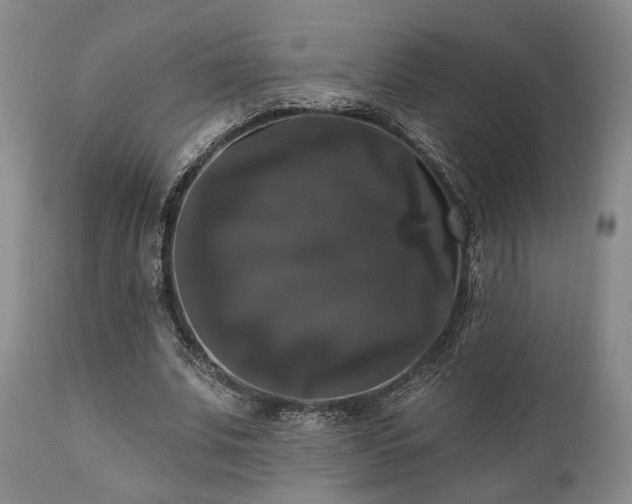 X0000111020679200906191652