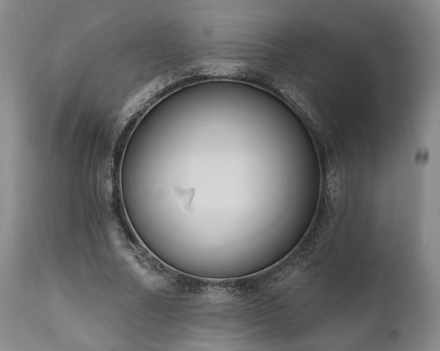 X0000111020682200906191652