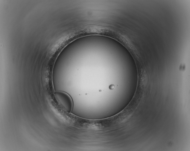 X0000111020683200906191652