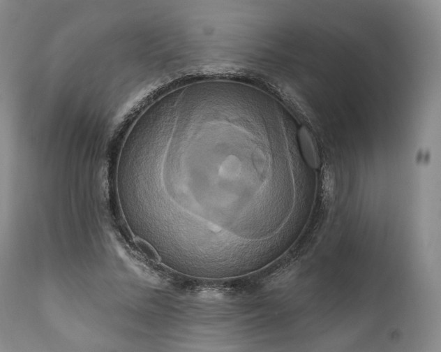 X0000111020684200906191652