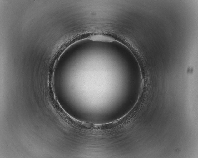 X0000111020685200906191652