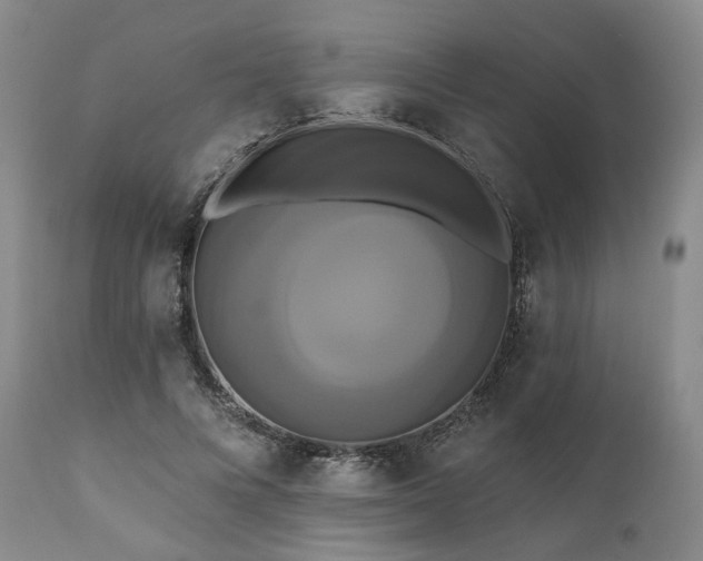 X0000111020688200906191652