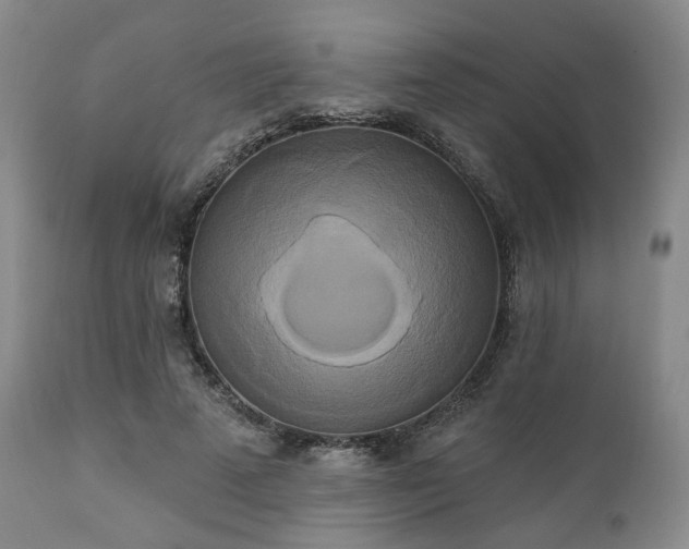 X0000111020689200906191652