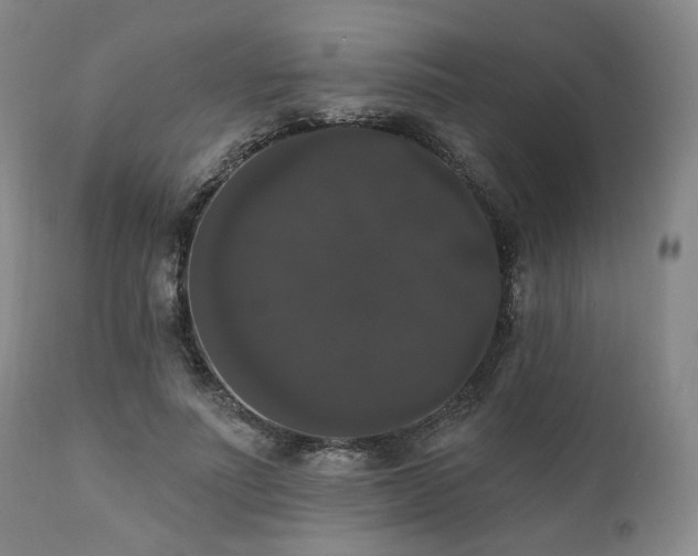 X0000111020691200906191652