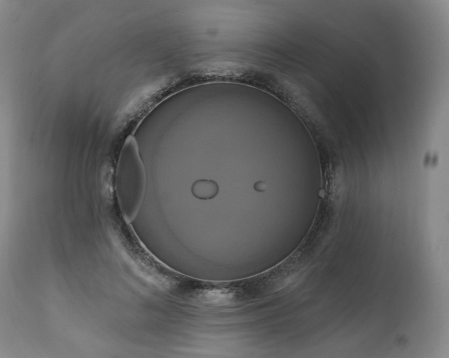 X0000111020692200906191652