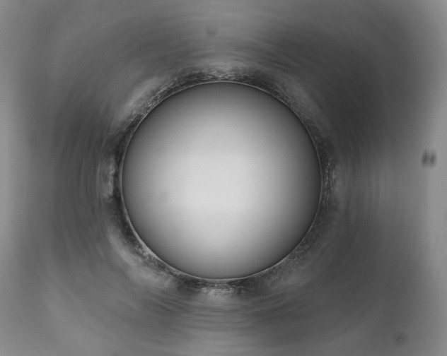 X0000111020694200906191652