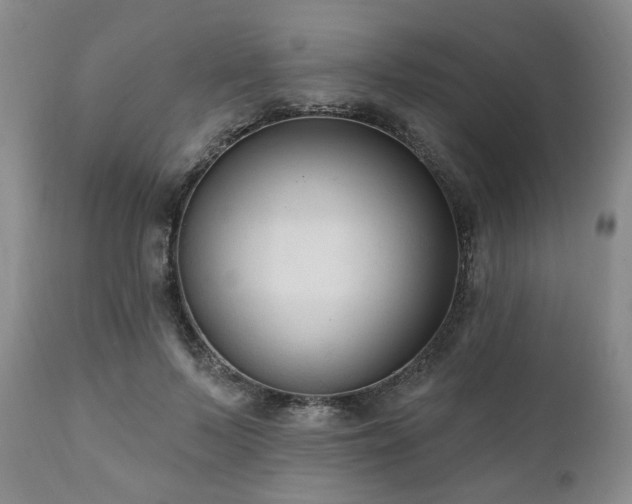 X0000111020695200906191652