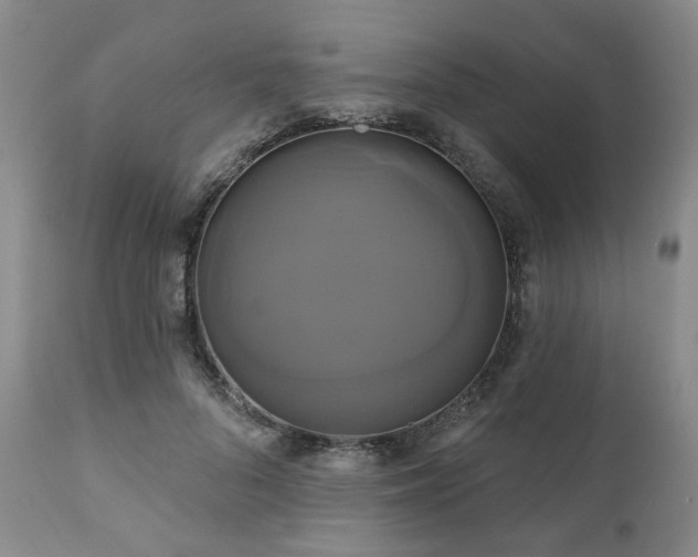 X0000111020696200906191652
