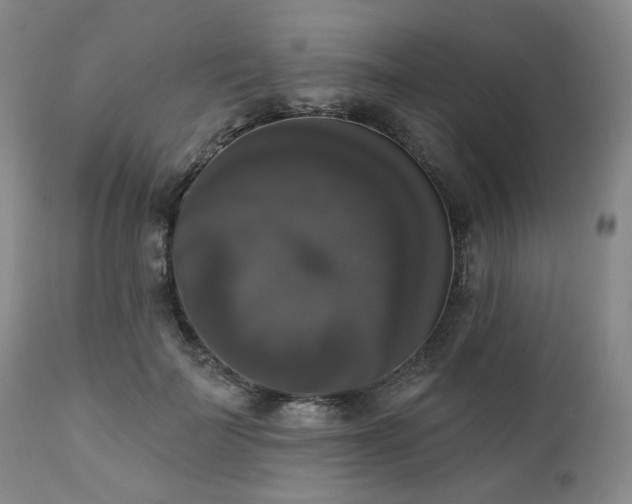 X0000111020699200906191652