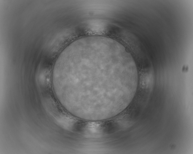 X0000111020701200906191652