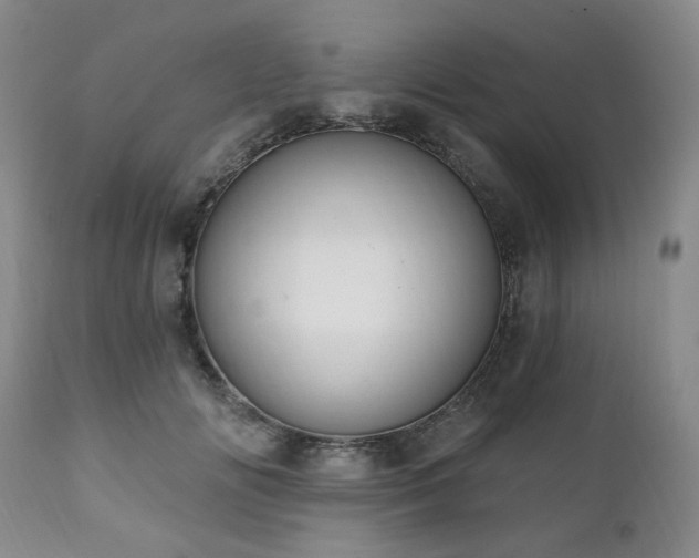X0000111020702200906191652
