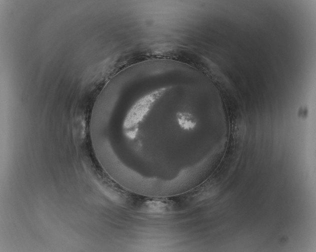X0000111020703200906191652