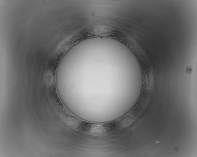 X0000111020705200906191652